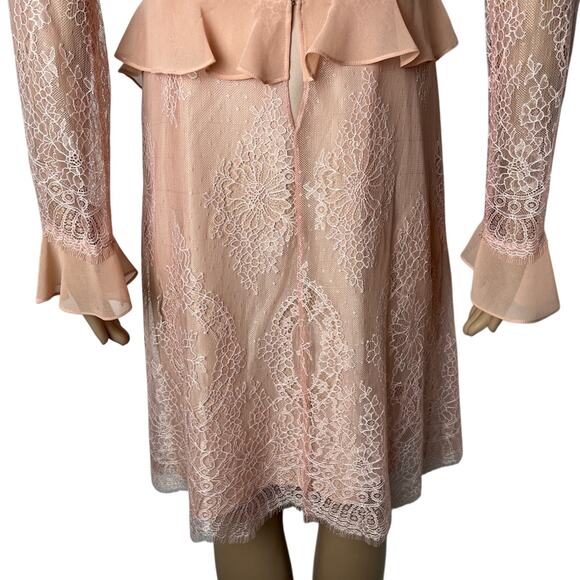 Delfi Collective X Anthropologie Luna Sheer Ruffle Lace Sheath Dress - Picture 10 of 13